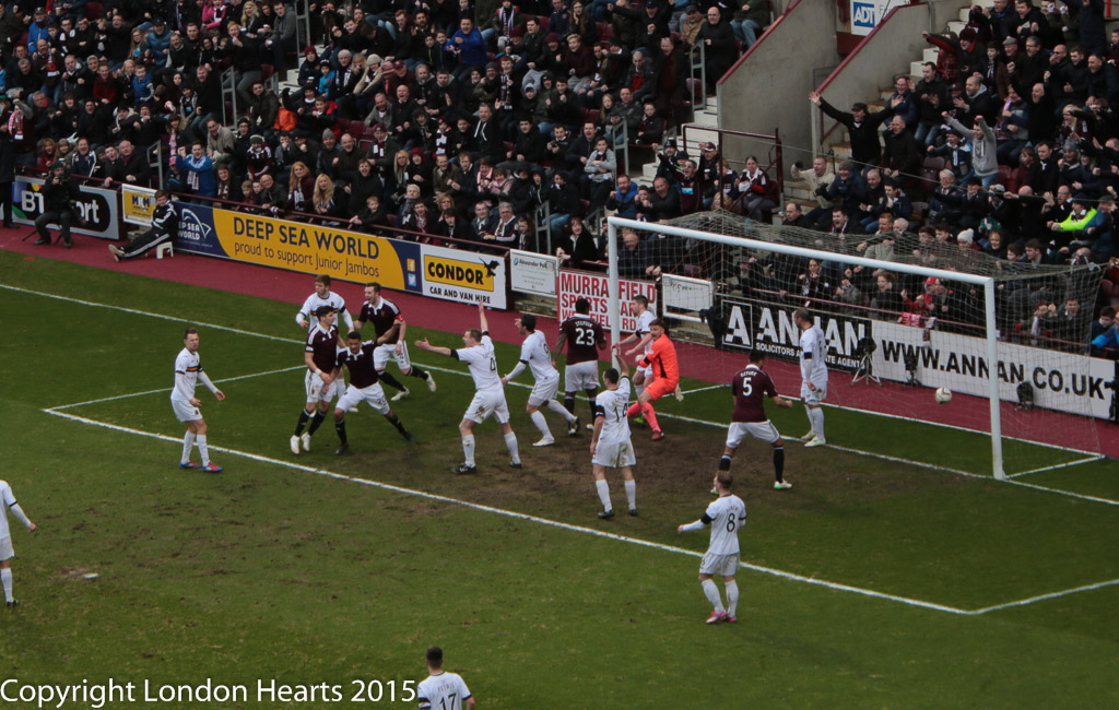 HMFC7851