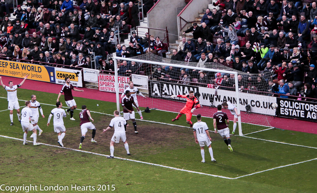 HMFC8029
