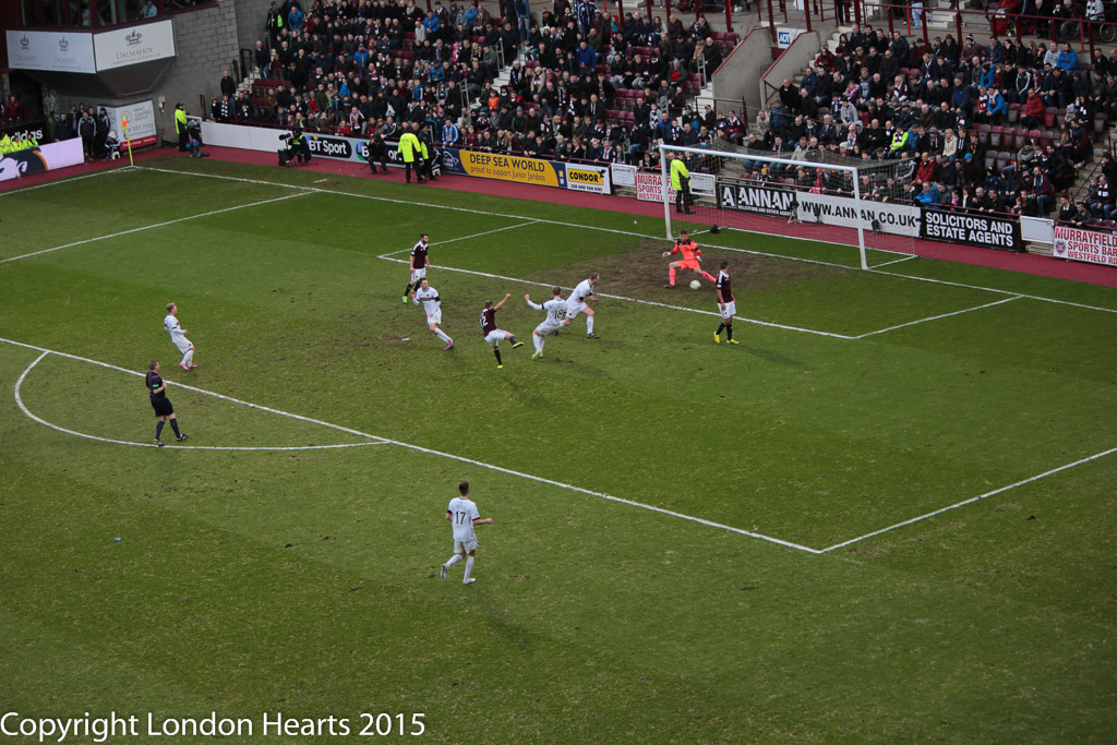 HMFC8313