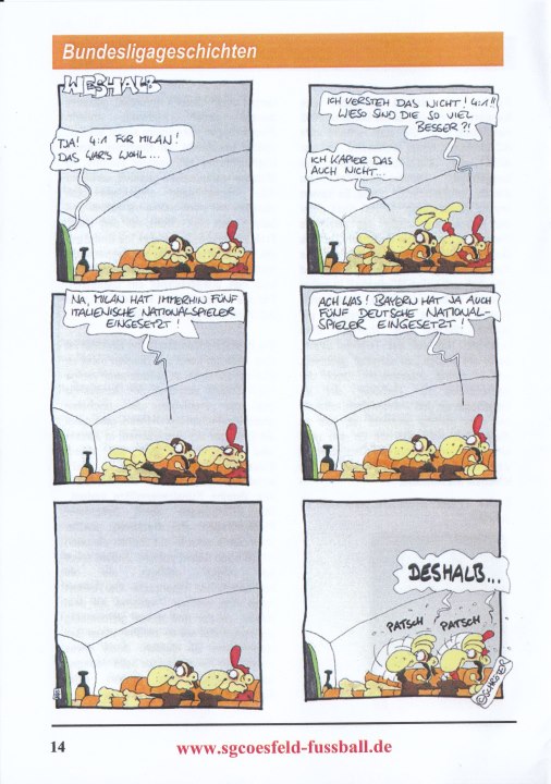 2007072013 Heracles Almelo 5-1 Coesfeld