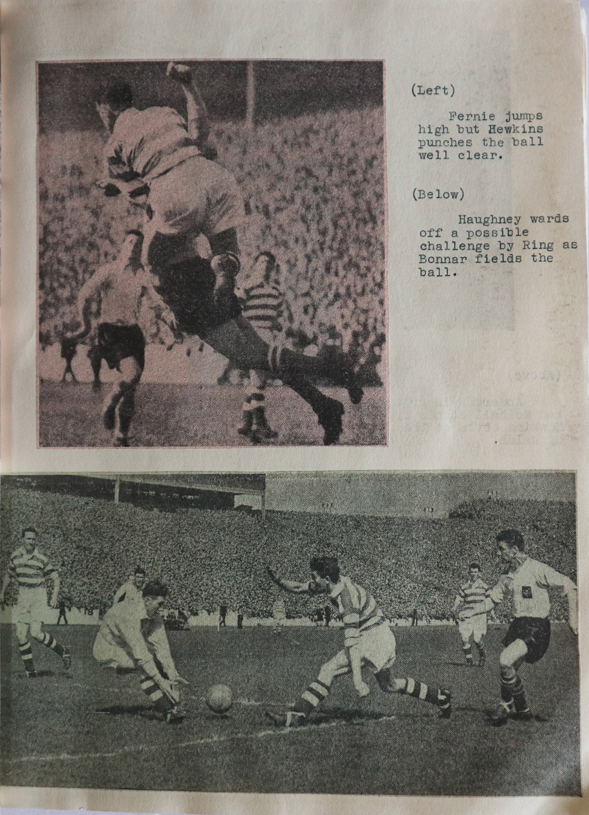 cup1955_111
