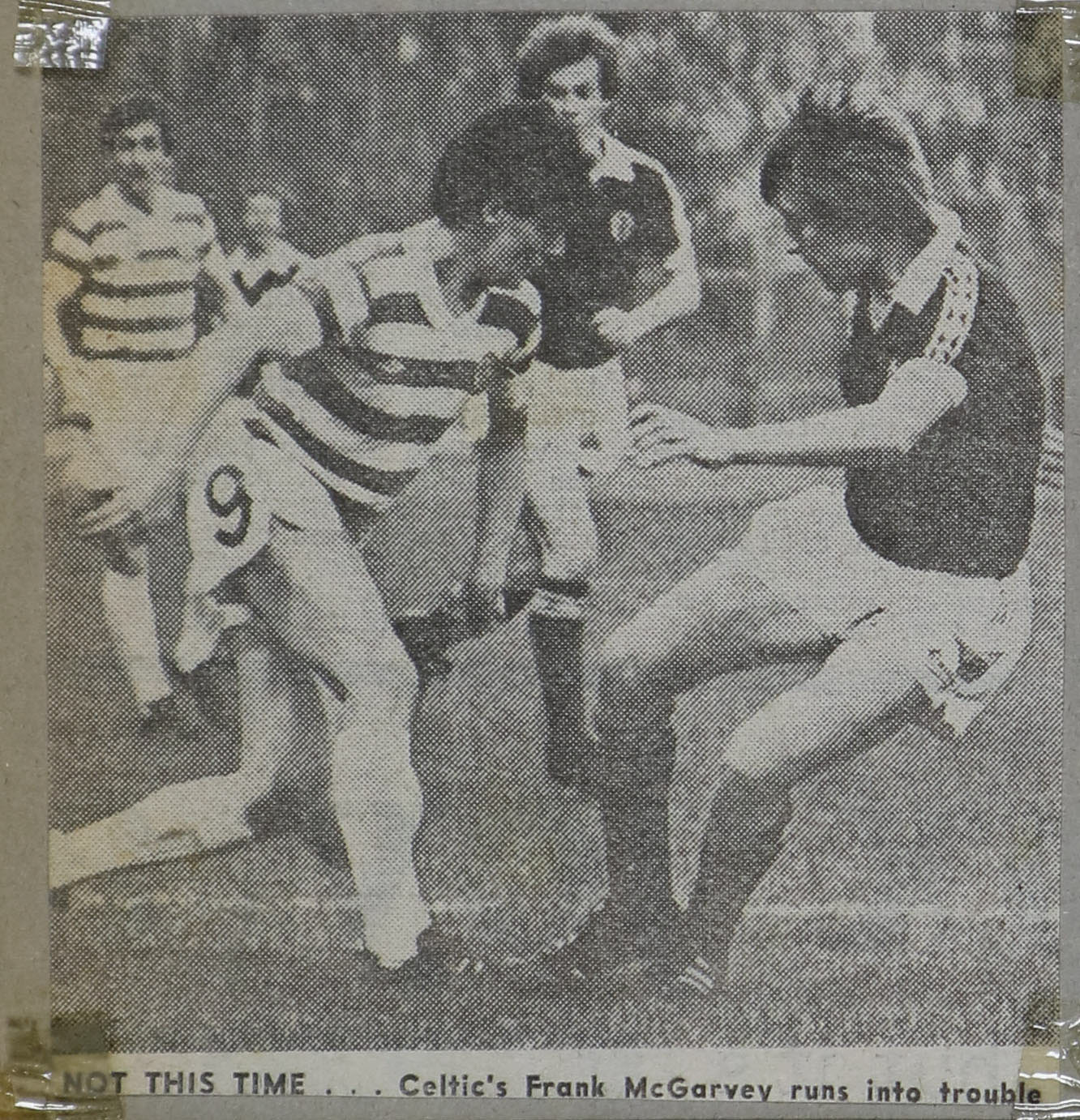 1981-04-01_CEL_6_HEA_0_L_31_of_36-003