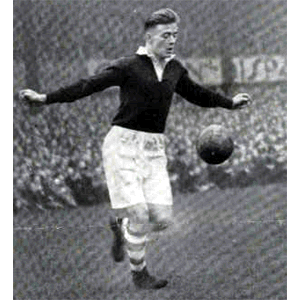 The King