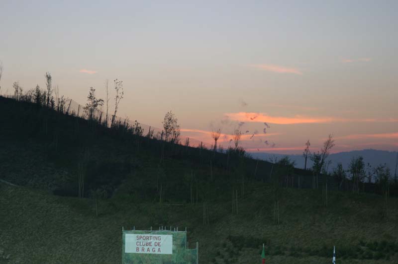 2004093017.jpg