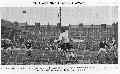 Hibernian