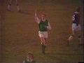 Hibernian
