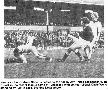 Ayr United