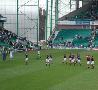 Hibernian